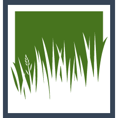 Zoysia Installation Pros