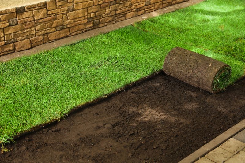 Zoysia Installation