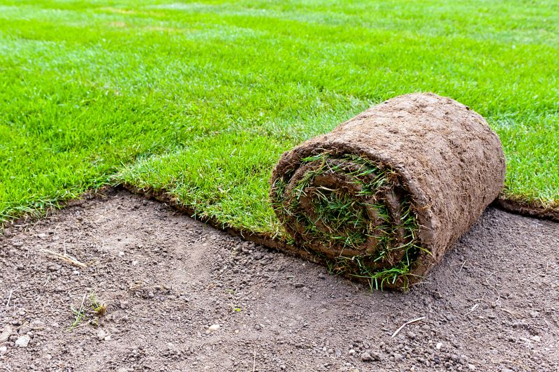 Bentgrass Sod Installation in Rockwall, TX