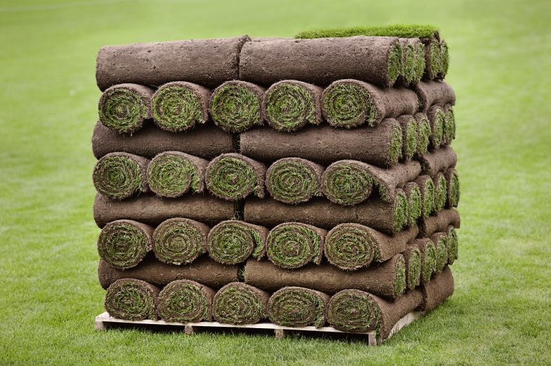 Commercial Sod Installation in Rockwall, TX
