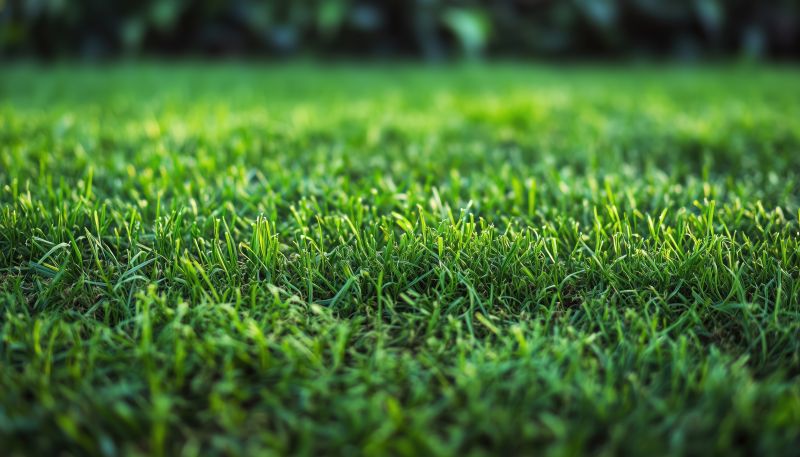 Grass Installation in Ventura County, CA