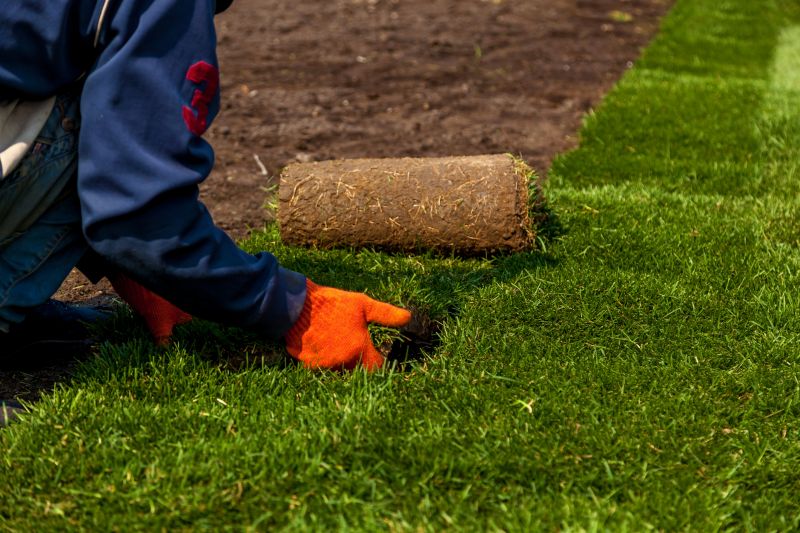 Lawn Sodding in Rockwall, TX