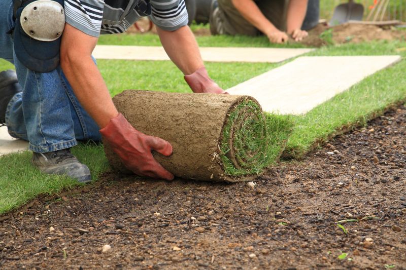 Sod Landscaping in Rockwall, TX