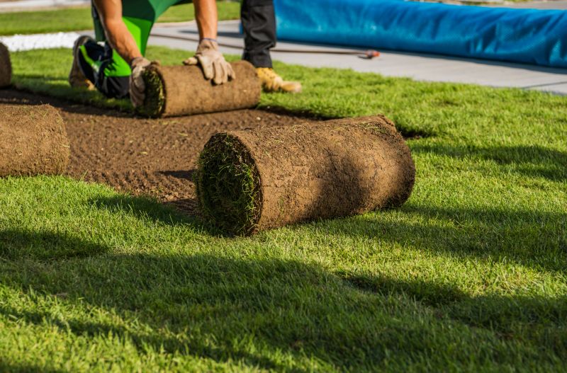 Sod Laying Service
