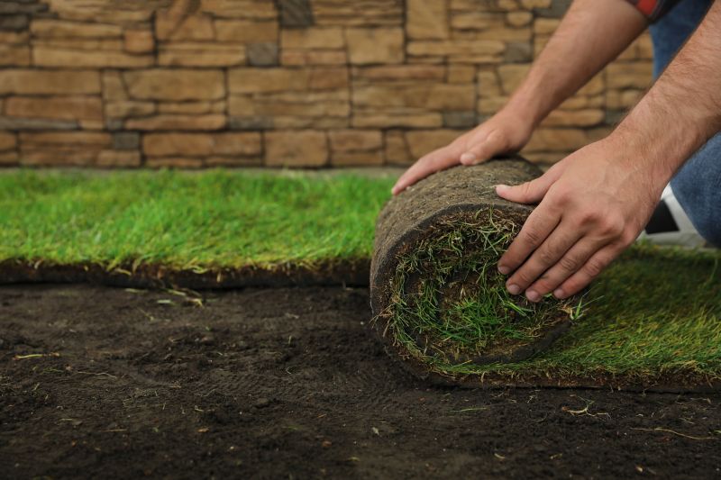 Sod Replacement in Ventura County, CA