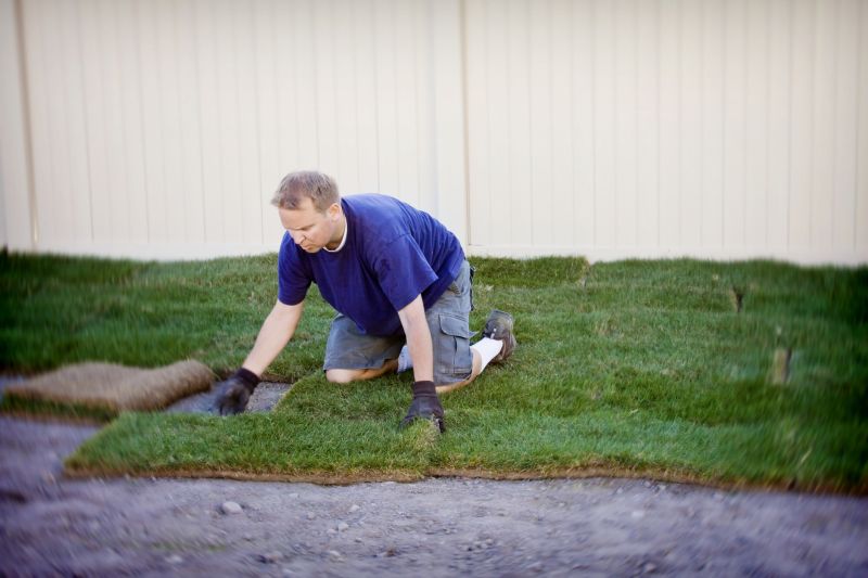 Sod Replacement in Rockwall, TX