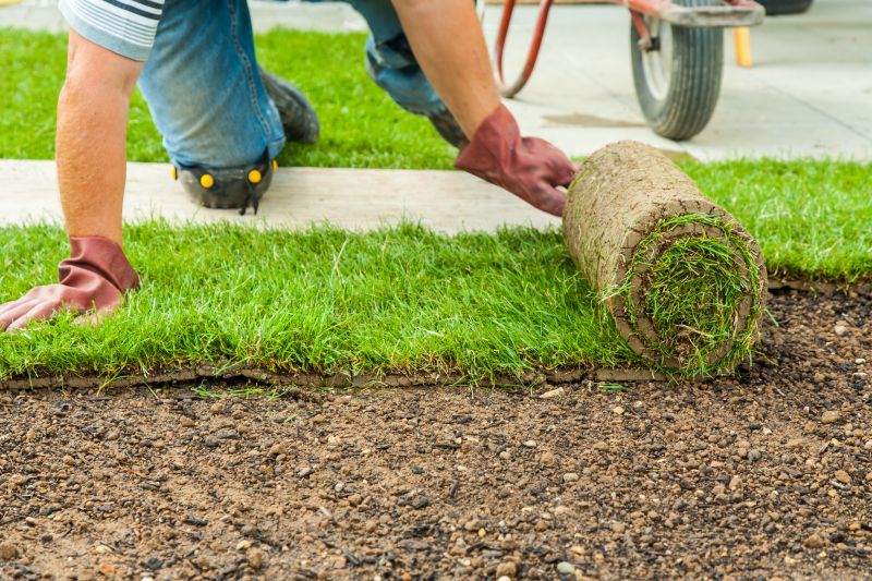 Sodding Service in Rockwall, TX