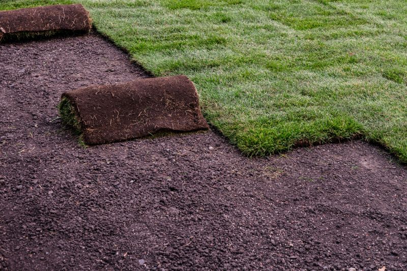 Why Sod Installation Is The Fastest Way To A Green Lawn