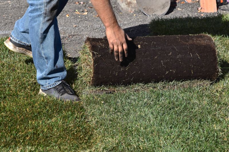 Yard Sodding in Rockwall, TX