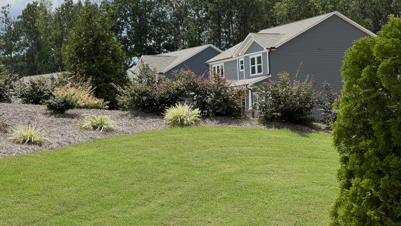 Zoysia Lawn in a Residential Setting